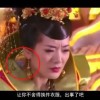 word文档手机免费版下载网站